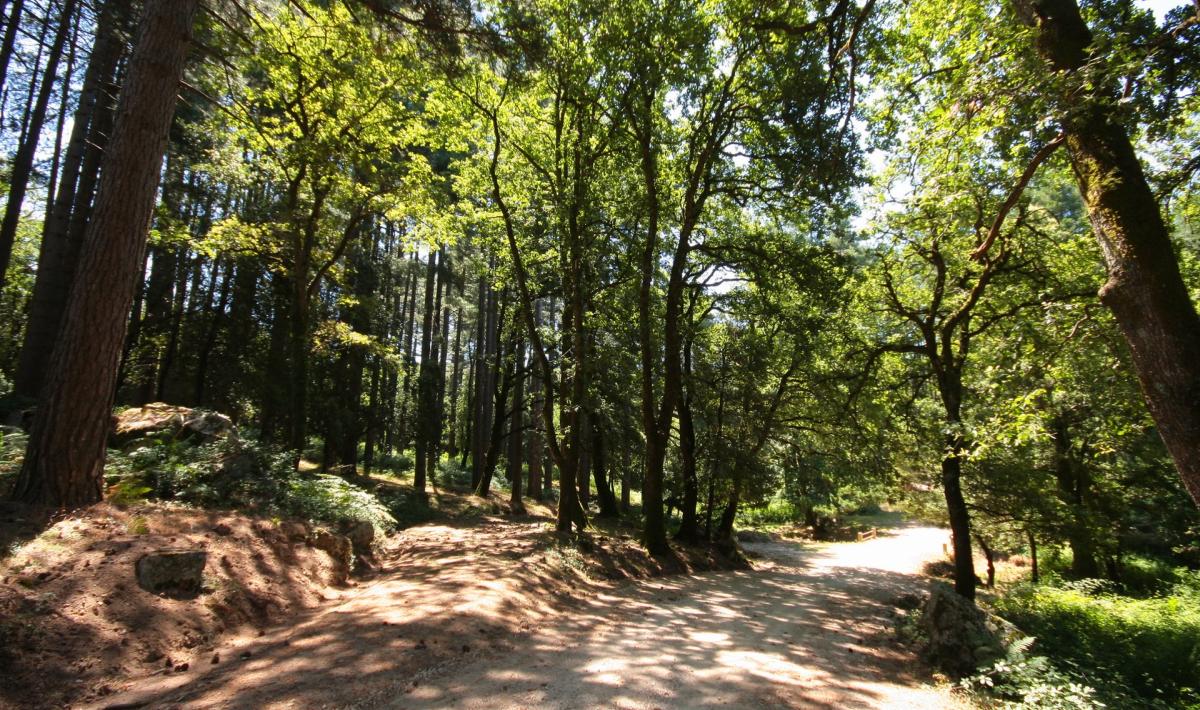 attività e visite a bultei sardegna - tonnia affittacamere (9)